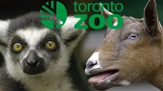 The Toronto Zoo Like You've Never Seen It Before