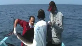Tie 'n' Fly Outfitters - Kuala Rompin Sailfish on the Fly - PART 1