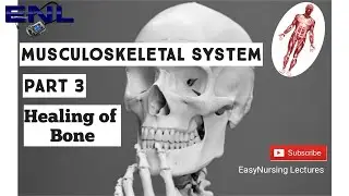 Musculoskeletal System Part 3/ Healing of Bone/ Easy Explanation in Hindi.