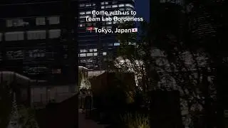 Team Lab Borderless #teamLabBorderless #TeamLab #teamLabTokyo  #japan #tokyo #travel #vacation #🇯🇵