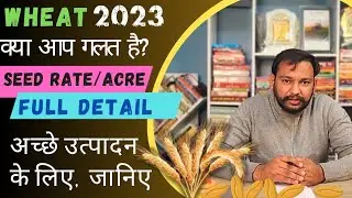 गेंहू का कितना बीज डालना चाहिए? wheat seed Rate for one acre?