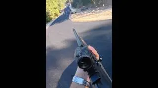 SБор убегал из леса.охота#chasse #охотa #wildboar #hunting