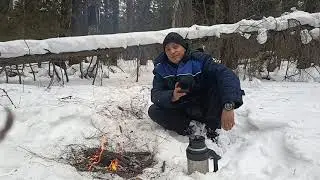 Зимний лес