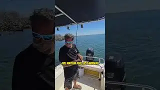 Catching Giant Pargo in Lopez Mateos!