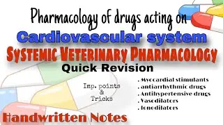 Veterinary Pharmacology: Cardiovascular System Drugs Explained | BVSc 3rd Year