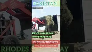 High-quality Rhodes Grass Hay For Sale In Large Bales &ndash; Perfect For Export!  #agriculture #animalfed