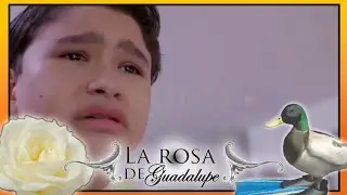 SE TE BORRO LA SONRISA 🗣️🔥 VIDEOREACCION A LA ROSA DE GUADALUPE -FISHING-