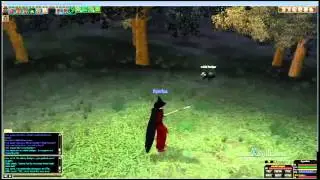 DAoC - Fyrefox the Fire Wizard!