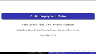 Public Employment Redux