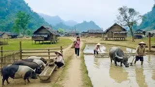 Hard Life At Border Village 🌾🐃 Farming & Raising Livestock To Survive Each Day