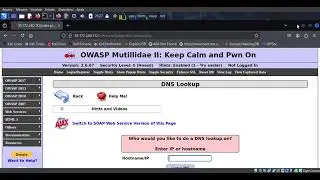 Praticas de Pentest - Command Injection  - DNS LOOKUP