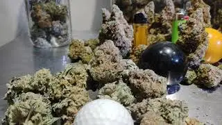 Not for sale or trade. Buds, balls and a lighters