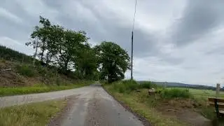 Beech Avenue Walk HD