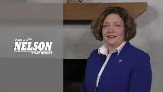 Vote for Carla Nelson