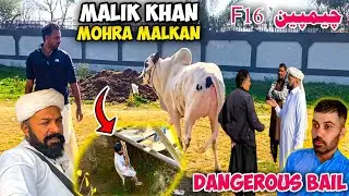 Malik khan mohra malkan |Dangerous bail |champion f16 bull |Khadimabad dadyal azad Kashmir 