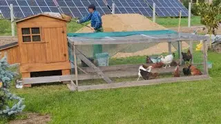 Nasze pierwsze kurki🐔😁 Zaczynamy przygodę ze zwierzętami😏🦆🪿🐓