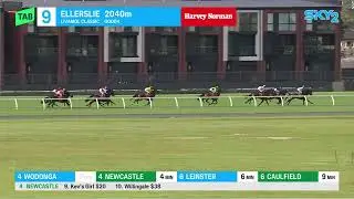 WAITAK - Livamol Classic 2025 (3YO+ WFA G1) Group 1 Ellerslie NZ 18 October