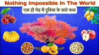 एक ही पेड़ में दुनिया के सारे फल😲 |Farming factguruakshay