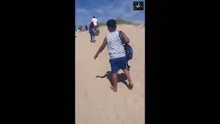 UK&rsquo;s Best beach, &ldquo;Crantock Beach&rdquo;