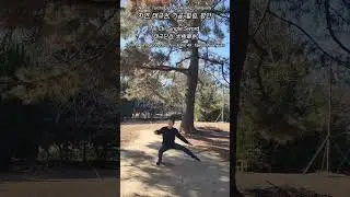 Tai Chi Single Sword (太極單劍) in Nature, Form 29 : Yīngxi&oacute;ngD&ograve;uzh&igrave; ~ Form 49 : T&agrave;ij&iacute;ji&agrave;nhu&aacute;nyu&aacute;n