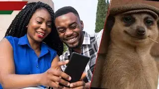 Hilarious Meerkat Memes Go Viral in Kenya | Origins & Funniest Moments