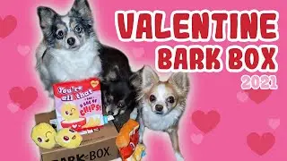 February BarkBox 2021 | Dogs Review Valentine Themed Bark Box | Dinner Dates Unboxing Dog Toys