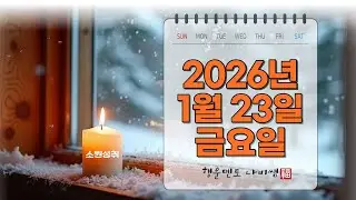 나비쌤의 오늘의 운세 🦋 종합운/연애운/금전운/행운의컬러/띠별운세/타로카드/사주팔자