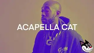 Freddie Gibbs, Madlib, Raekwon - Bomb Acapella 91 BPM - 4K Acapella Cat