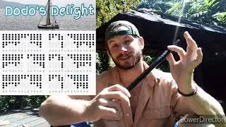 Dodo's Delight - Sea Shanty/Sailor tune - Tin Whistle Cover + Tabs Tutorial