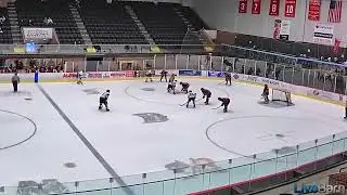 McMorran Arena - Goal - 2023 01 14