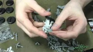 Protectorate of Menoth Exemplar Errants Unboxing