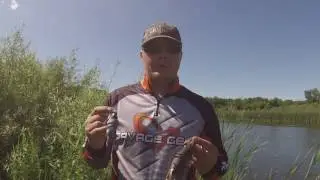 Savage Gear 3D Rad - Steve Bell Angler