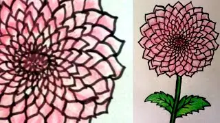 Pink Dahlia Flower Drawing Tutorial