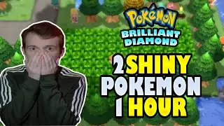 2 Shiny Pok&eacute;mon in 1 Hour??? Pok&eacute;Radar 17 Chain Method is BROKEN | Shiny Natu and Nincada