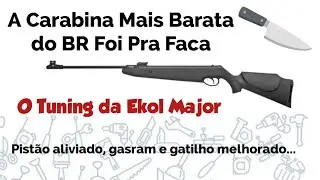 Customizei a Ekol Major... Veja o que deu...