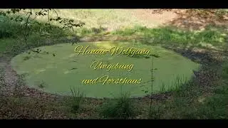 Hanau-Wolfgang mit Ruine und Forsthaus