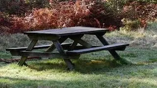 Het Bankje net een paardagen voor de ijzel en de Sneeuw er aan kwam