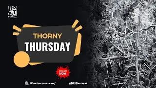 Thursday Live Baccarat | Card Counting Strategy In Action