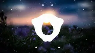 SHIKIMO - Infinity
