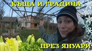 Моето най-любимо място. Парник в Богьовци през ЯНУАРИ. Зимна градина!