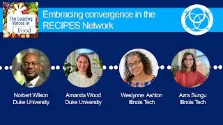 Embracing convergence in the RECIPES Network