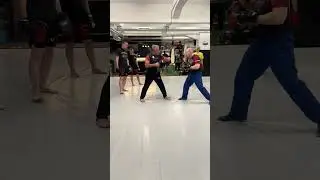 Wing Fight Basis Drill Aktion / Reaktion mit Sifu Victor