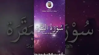 #allah #quranrecitation #lofi #recitation #recipe #nomusic #allah #nature #cats