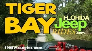 Jeep ride through Tiger Bay WMA Florida