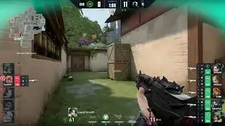 Scream sick ace vs Oxygen | Team Liquid vs Oxygen | Haven