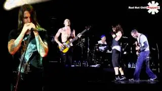 Red Hot Chili Peppers - Funky Monkey (Bass boosted)