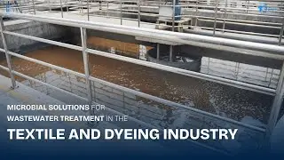 BFresh - Effective Microbial Solutions for Wastewater Treatment in the Textile and Dyeing Industry