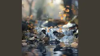 Tranquil Thoughts with Winged Companions