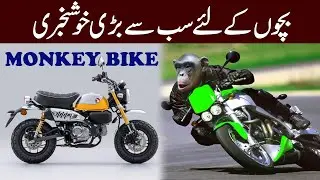 Monkey Bike for Kids l GORILA MONKEY BIKES l  This Mini Bike Could solve the Fuel Crisis
