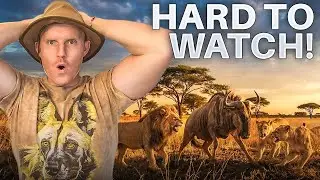 I Wasn’t Ready for This… | Kruger Safari Gone Wrong
